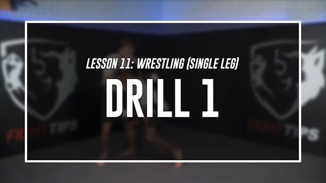 Lesson 11 - Wrestling (Single Leg) - ...