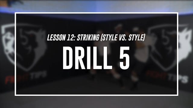 Lesson 12 - Striking (Style vs Style)...