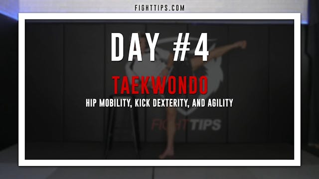 Day 4: Taekwondo, Hip Mobility, & Kic...
