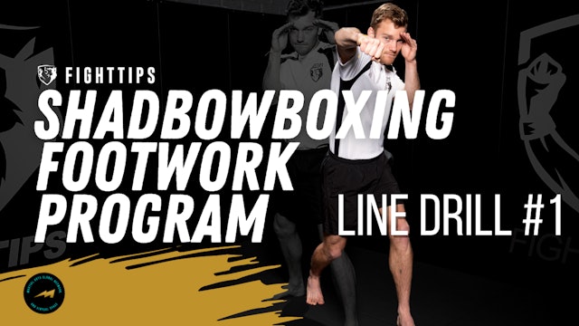 Lesson 3.1: Straight Punch Line Drill