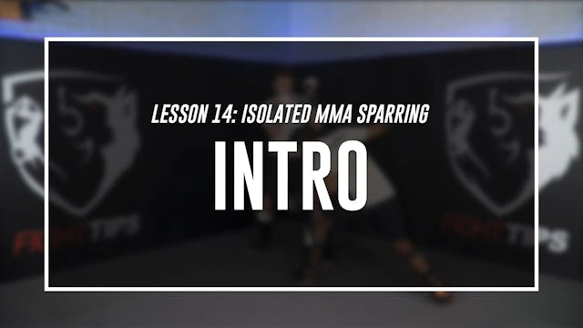 Lesson 14 - Isolated MMA Sparring - I...