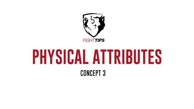 MMA IQ - Concept 3 - Physical Attributes