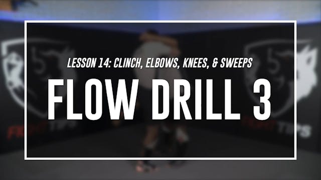 Lesson 14 - Clinch, Elbows, Knees & Sweeps - Flow 3