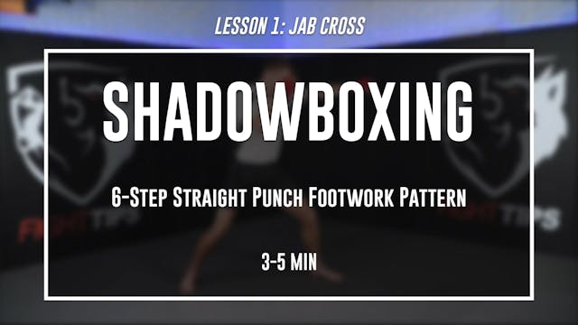 Lesson 1 - Straight Punches & Parry Range - Shadowboxing