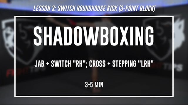 Lesson 3 - Switch Roundhouse - Shadowboxing