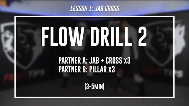 Lesson 1 - Straight Punches & Parry Range - Flow Drill 2