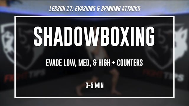 Lesson 17 - Evasions & Spinning Attacks - Shadow