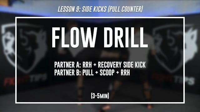 Lesson 9 - Side Kicks - Flow Drill