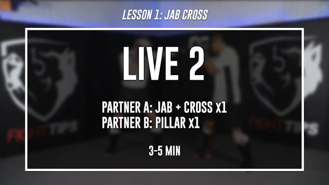 Lesson 1 - Straight Punches & Parry Range - Live 2