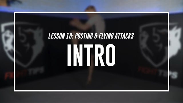 Lesson 18 - Posting & Flying Attacks - Intro