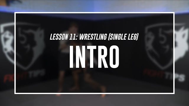 Lesson 11 - Wrestling (Single Leg) - ...