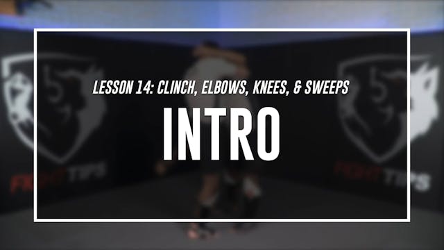 Lesson 14 - Clinch, Elbows, Knees & Sweeps - Intro
