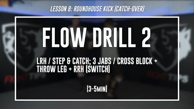Lesson 8 - Roundhouse Kick (Catch-Over) - Flow Drill 2