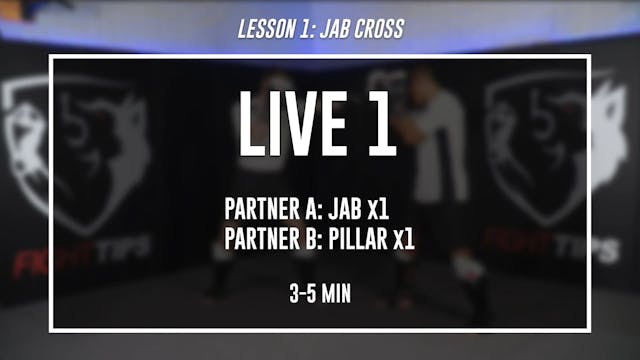 Lesson 1 - Straight Punches & Parry Range - Live 1