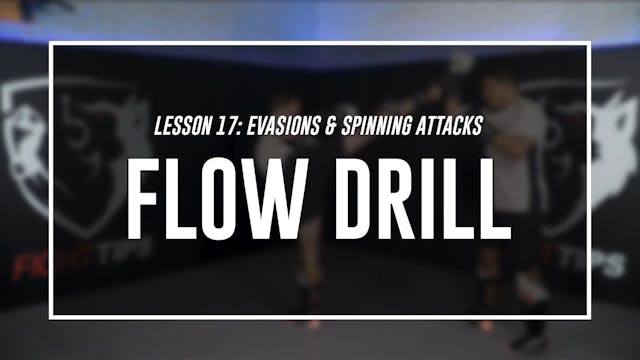 Lesson 17 - Evasions & Spinning Attacks - Flow