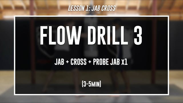 Shane Lesson 1 - Jab Cross - Flow Dri...