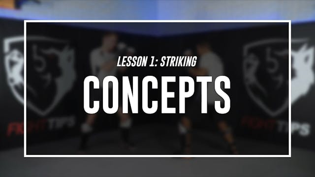 Lesson 1 - Striking for MMA - Concepts