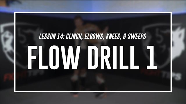 Lesson 14 - Clinch, Elbows, Knees & Sweeps - Flow 1