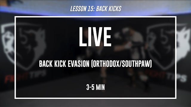 Lesson 15 - Back Kicks - Live