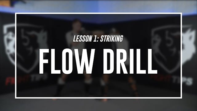 Lesson 1 - Striking for MMA - Flow Drill