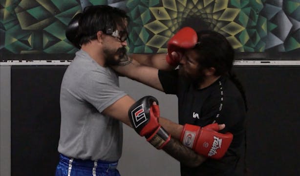 Lesson 2.13: Clinch - Full Plum Defense