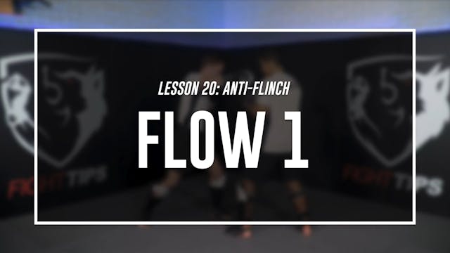 Lesson 20 - Anti-Flinch & Fighting on the Ropes - Topic 1