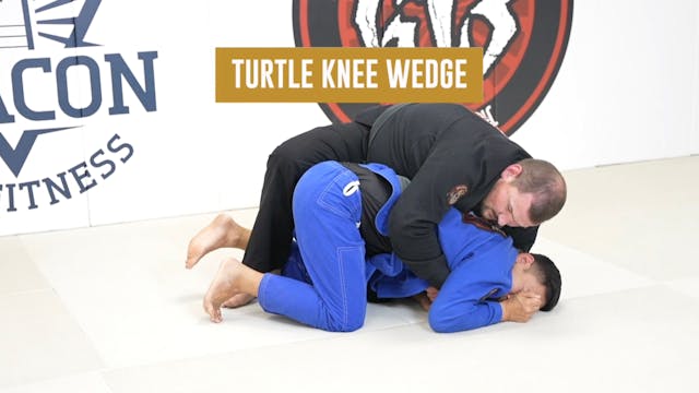 Attacking the Turtle - Knee Wedge 