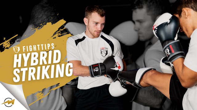 FIGHTTIPS Hybrid Striking Course