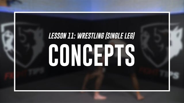 Lesson 11 - Wrestling (Single Leg) - ...