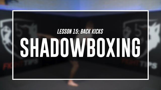 Lesson 15 - Back Kicks - Shadow