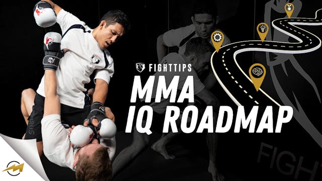 MMA IQ Roadmap