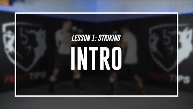 Lesson 1 - Striking for MMA - Intro