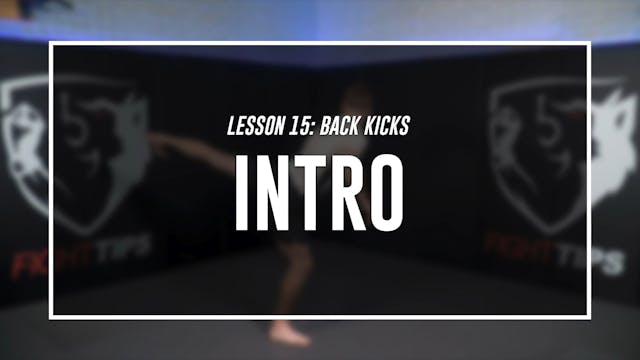 Lesson 15 - Back Kicks - Intro