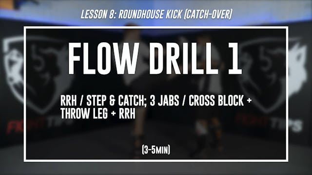 Lesson 8 - Roundhouse Kick (Catch-Over) - Flow Drill 1