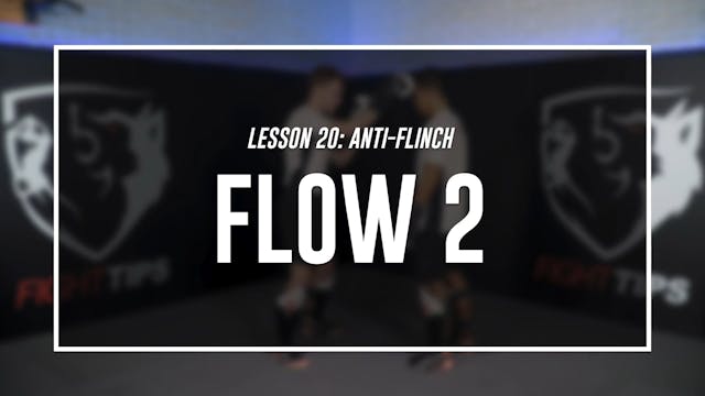 Lesson 20 - Anti-Flinch & Fighting on the Ropes - Topic 2