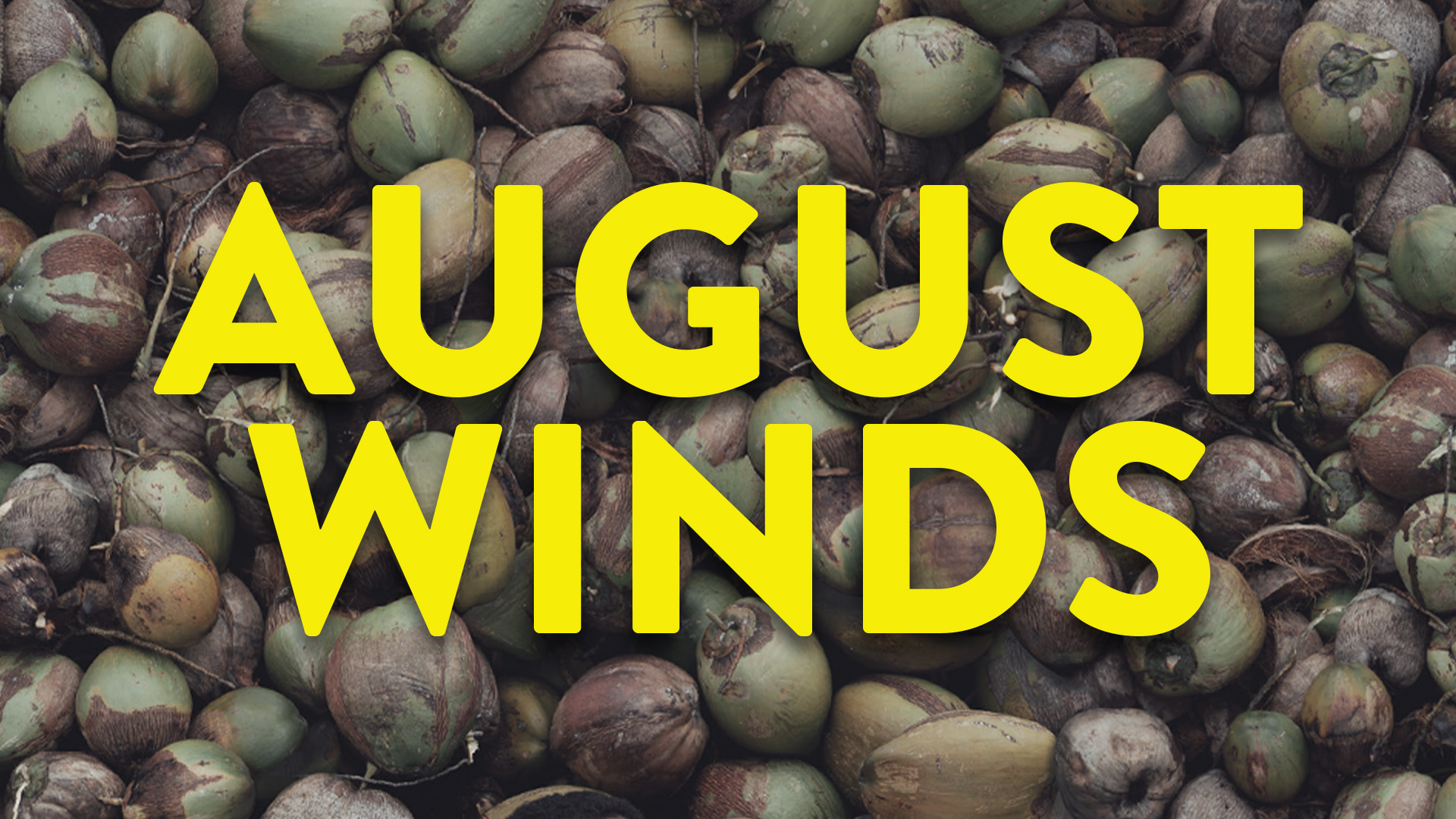 August Winds
