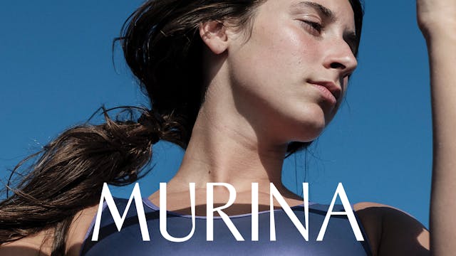 Murina