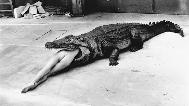 Helmut Newton - The Bad and the Beaut...