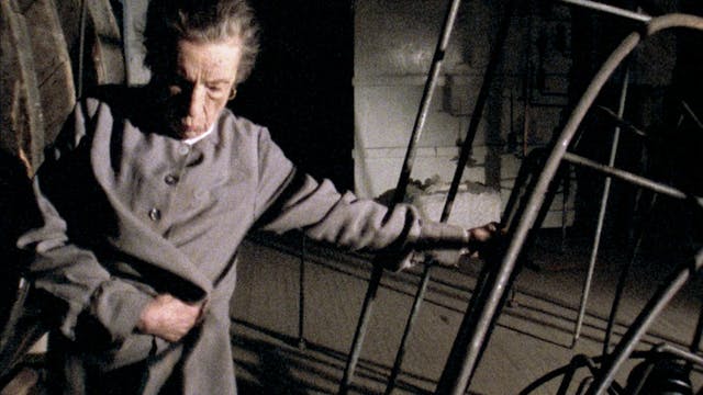 Louise BourgeoIs: The Spider, the Mis...