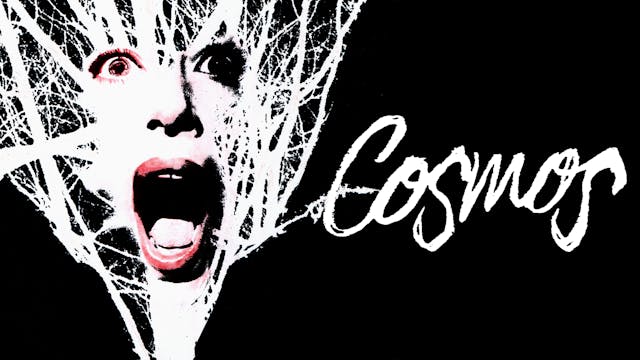 Cosmos