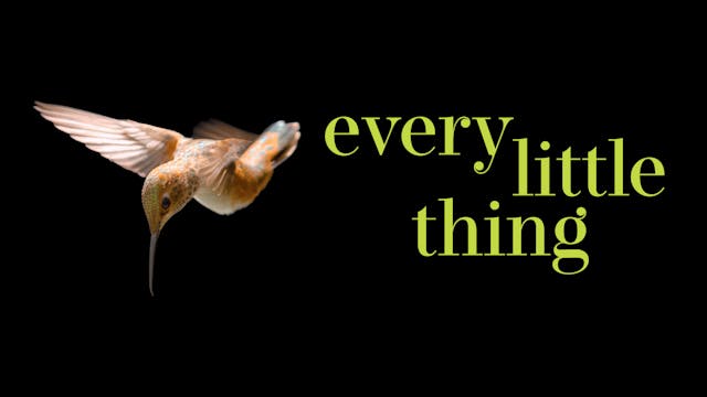 Every Little Thing