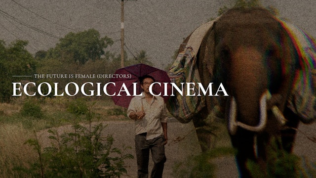 Ecological Cinema