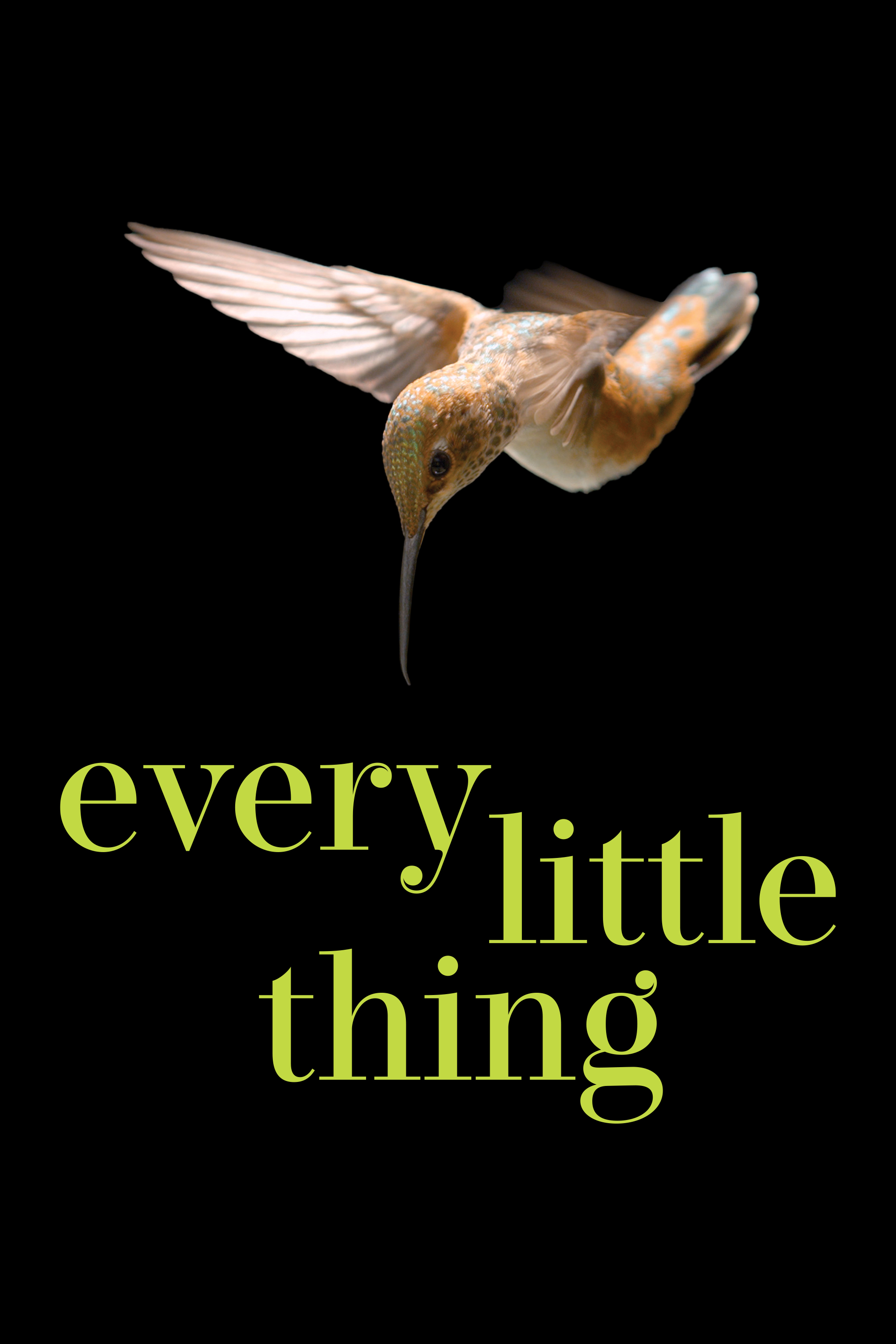 Every Little Thing