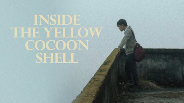 Inside the Yellow Cocoon Shell