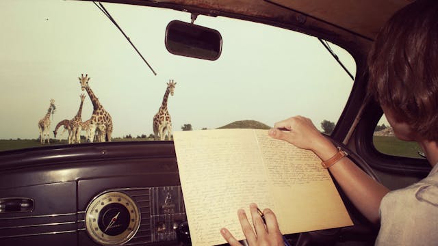 The Woman Who Loves Giraffes - Trailer