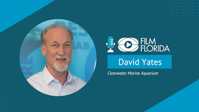 David Yates, Clearwater Marine Aquari...