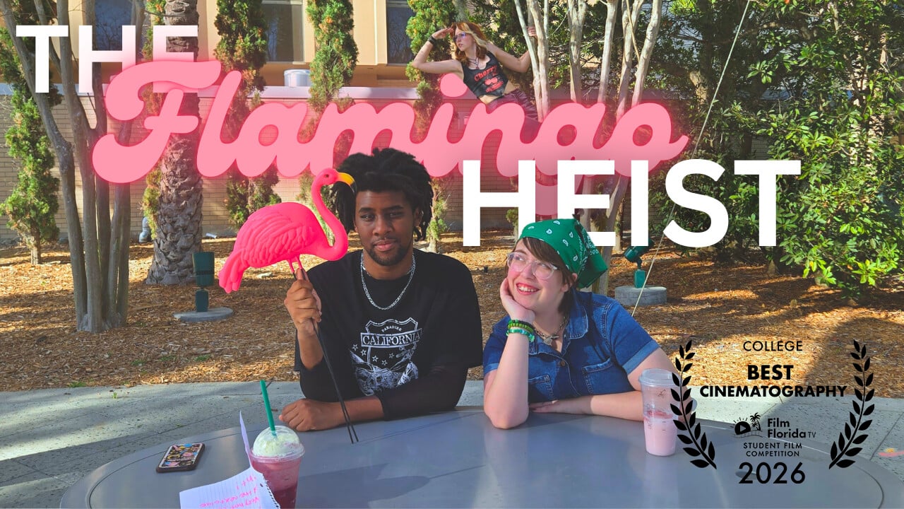 The Flamingo Heist