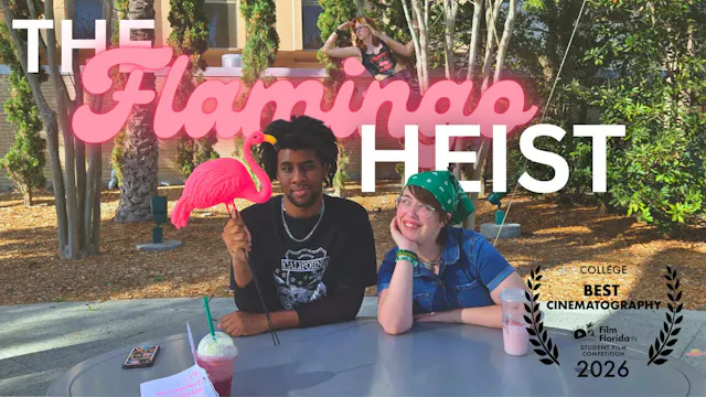 The Flamingo Heist
