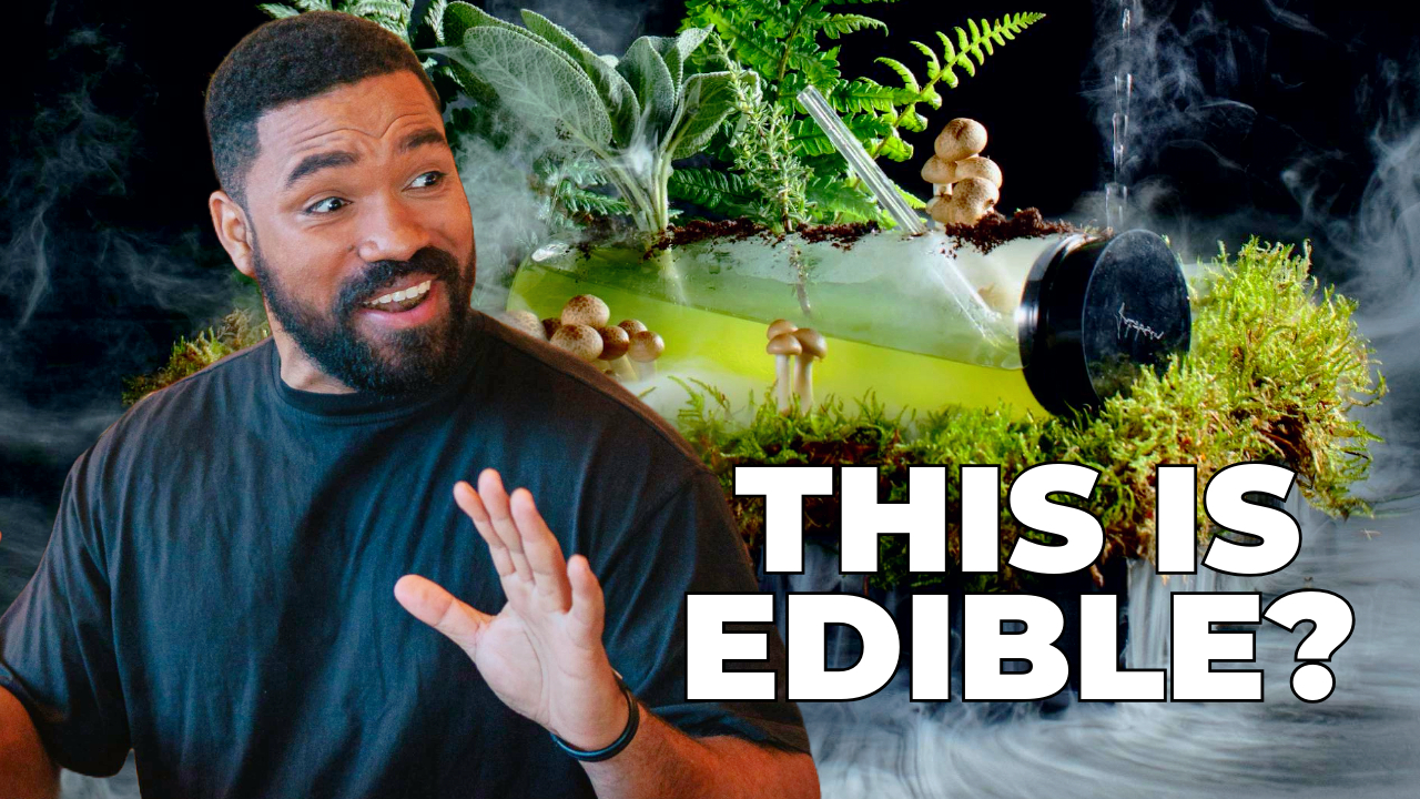 The Kissimmee Experience - Jordan Howlett