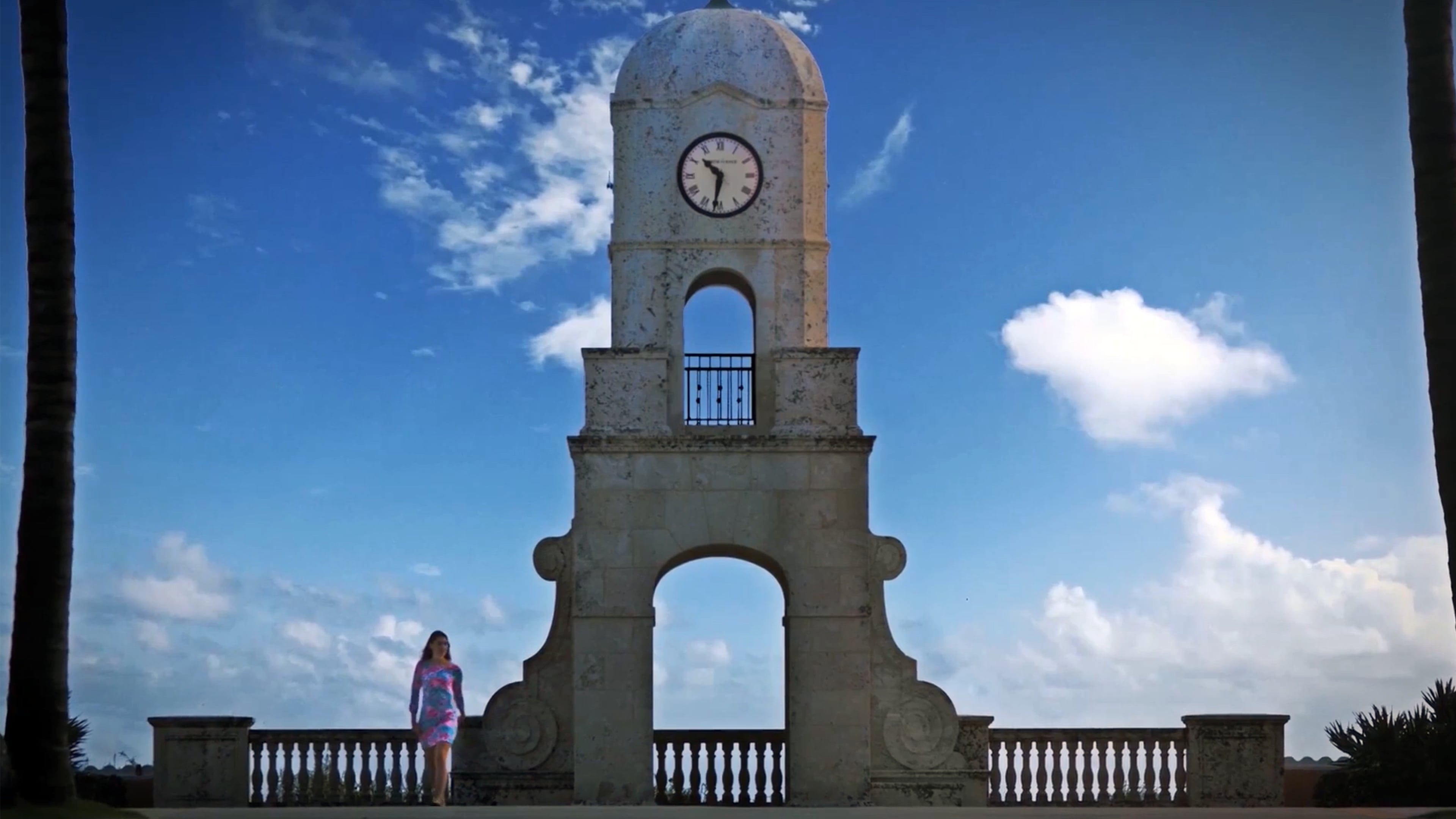 Film The Palm Beaches